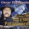 Oscar Payaguala - 100 X 100 Patagónico
